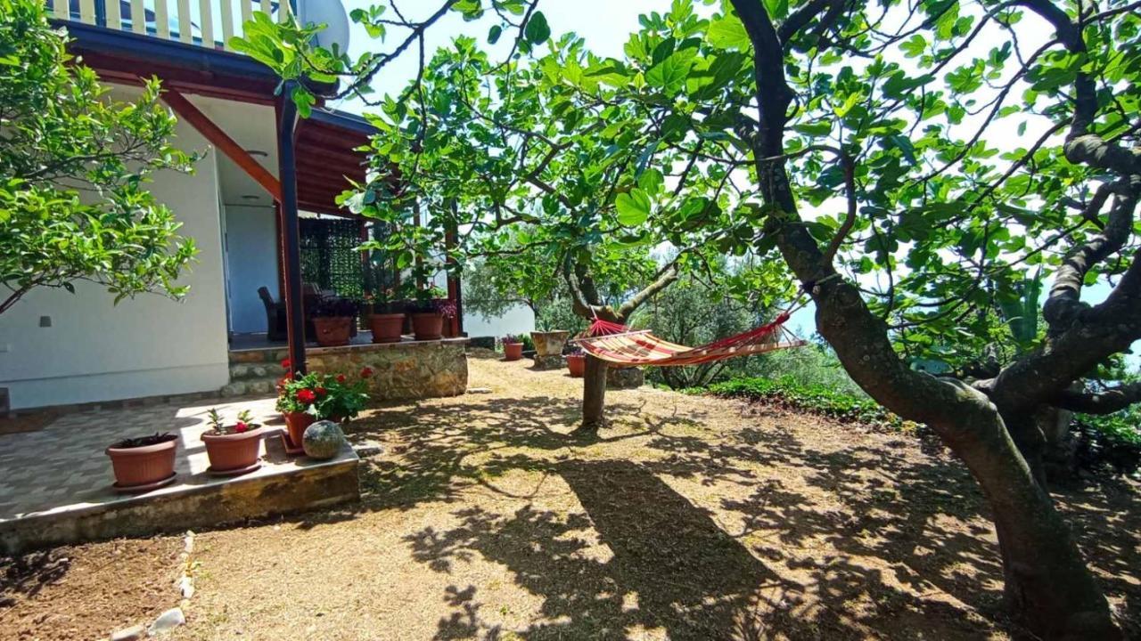 Apartment Ulcinj *