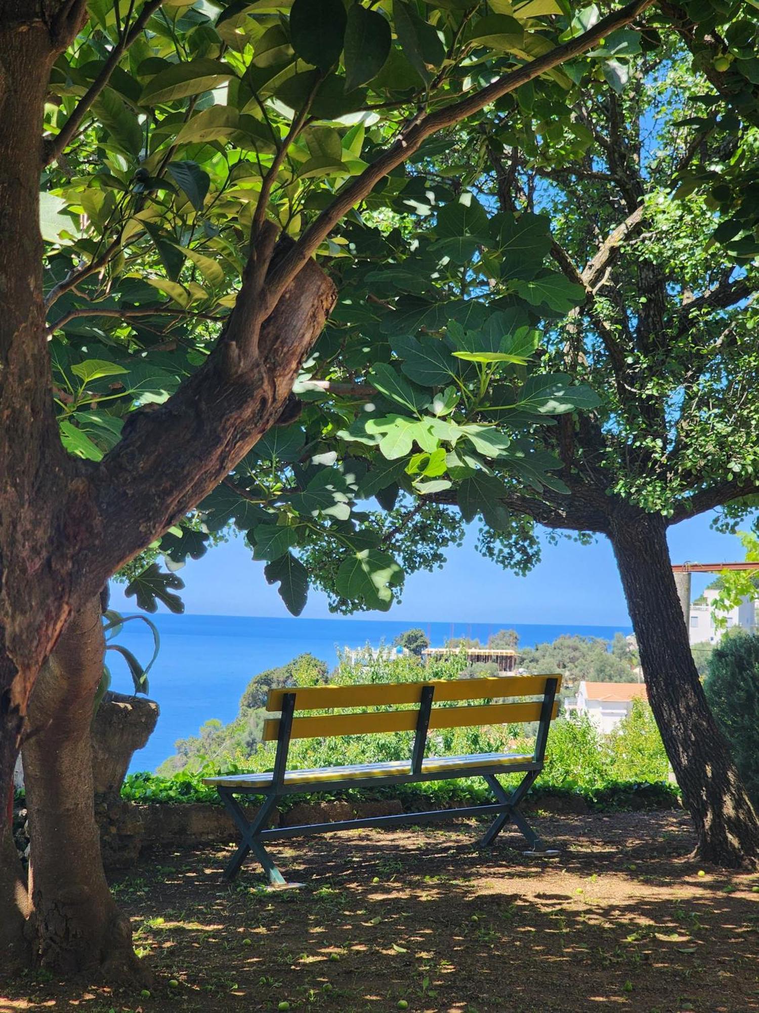 Apartment Ulcinj *